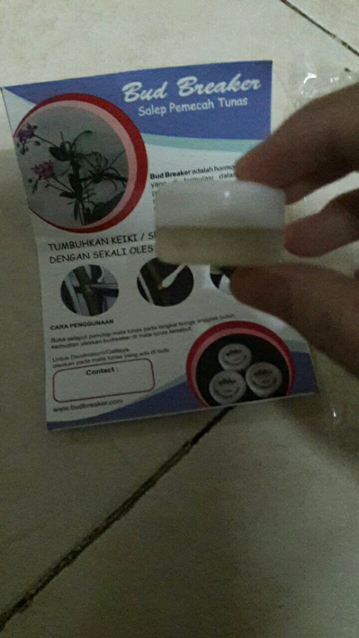 Vitamin B1 Taiwan Liquinox Untuk Semua Jenis Tanaman