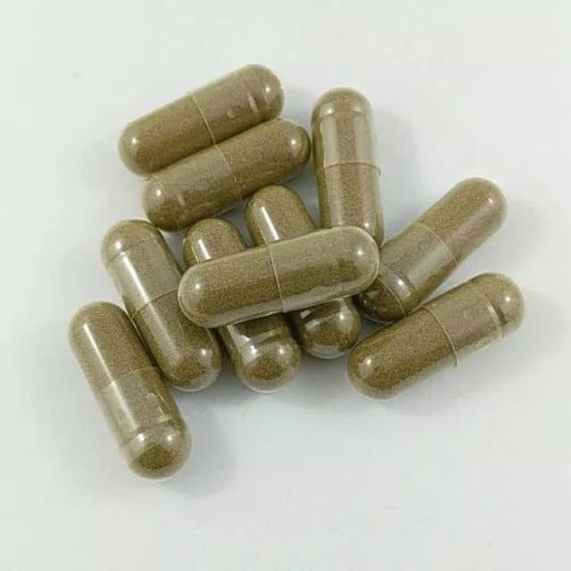 

Kapsul Tapak Liman Rempah Herbal Natural Obat Alami