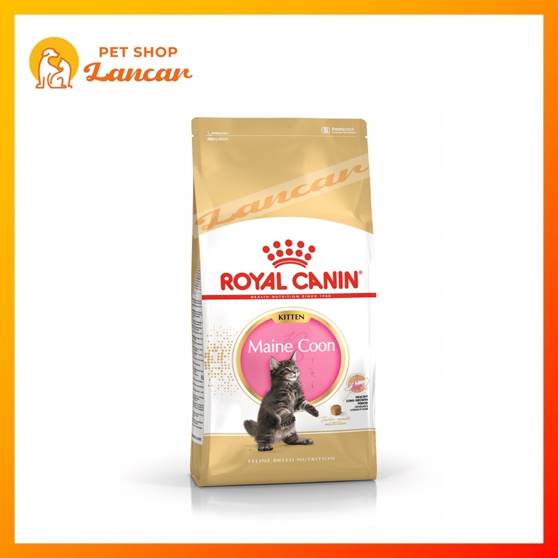 PROMO Royal Canin Maine Coon Kitten 2Kg