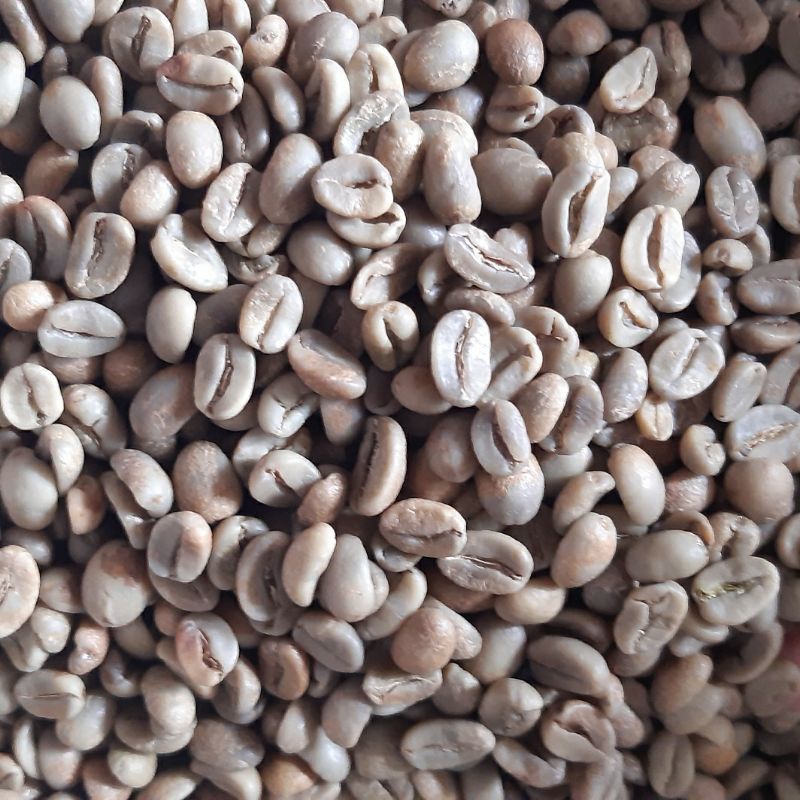 

kopi greenbeans arabika proses natural argopuro jember