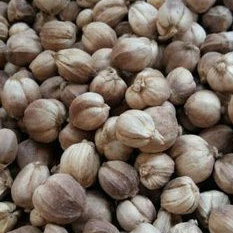 

BUMBU KAPOLAGA 100gr