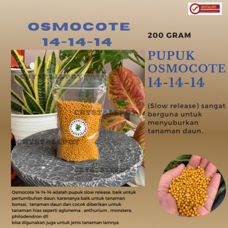 PUPUK OSMOCOTE 14-14-14 SLOW RELEASE FERTILIZER REPACK 200 GRAM UNTUK TANAMAN HIAS