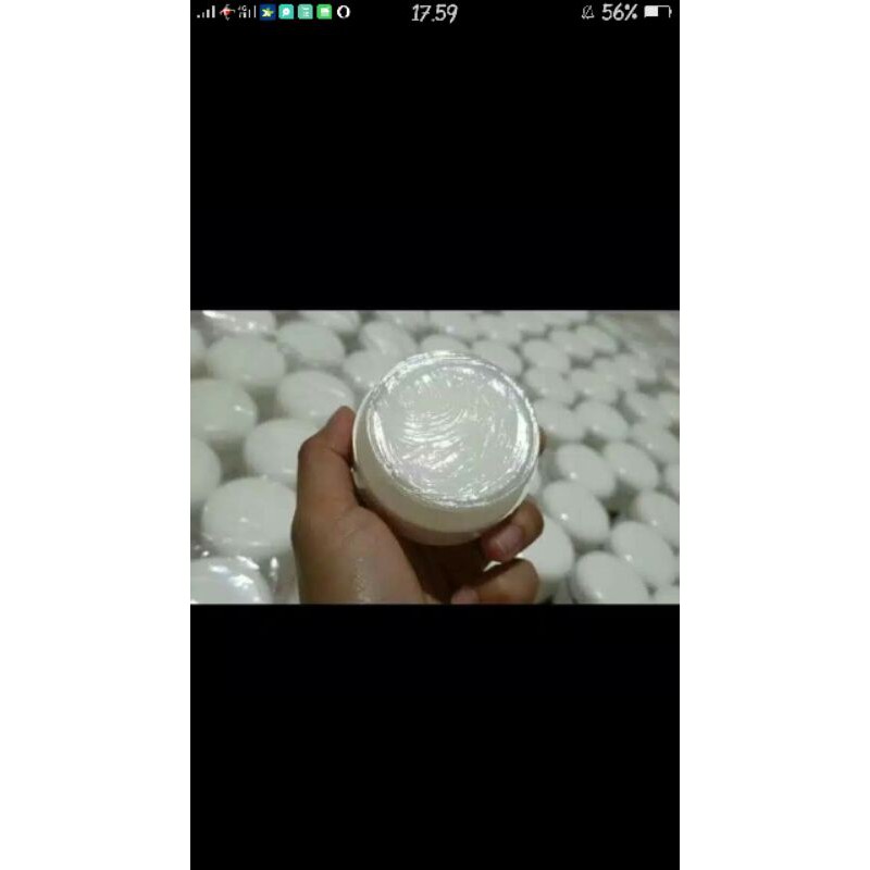 bibit pemutih cepuk original (Grade A )