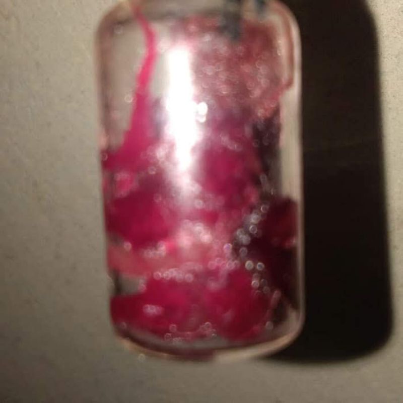 untalan sangkala bima habang