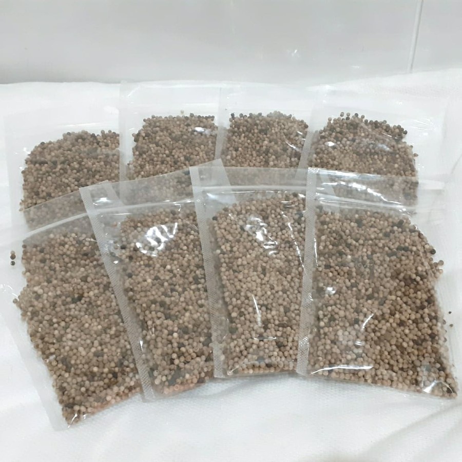 

Merica Asli Petani Banjarnegara