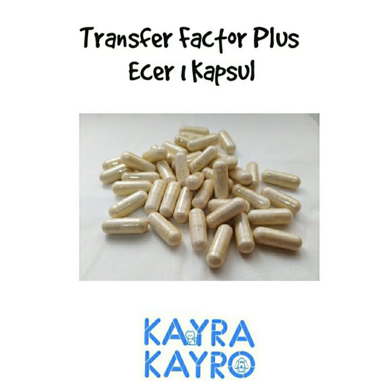 TF Plus Ecer 1 Kapsul - Obat Flu Kucing/Feline/Cat