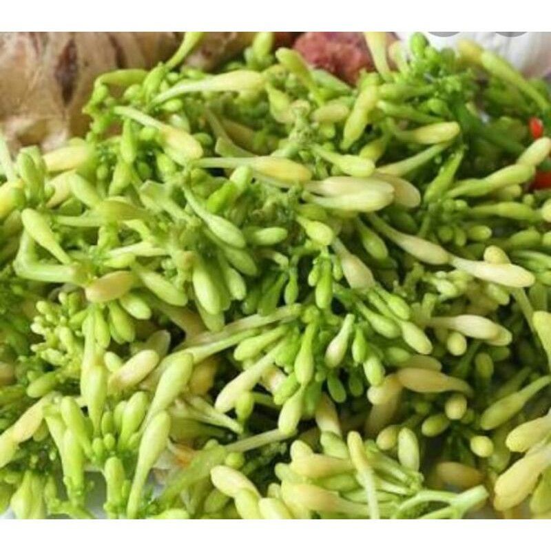 

bunga pepaya kembang gandul 500 gram sayur fresh