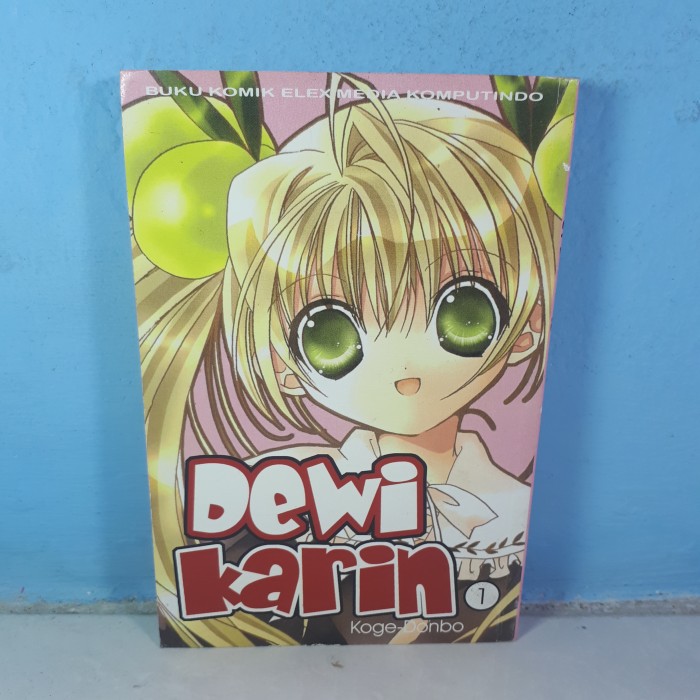DEWI KARIN 1
