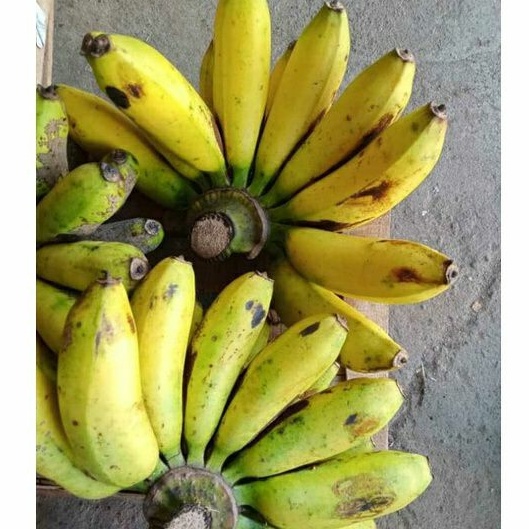 

Buah Pisang Raja Sereh / 1 Sisir