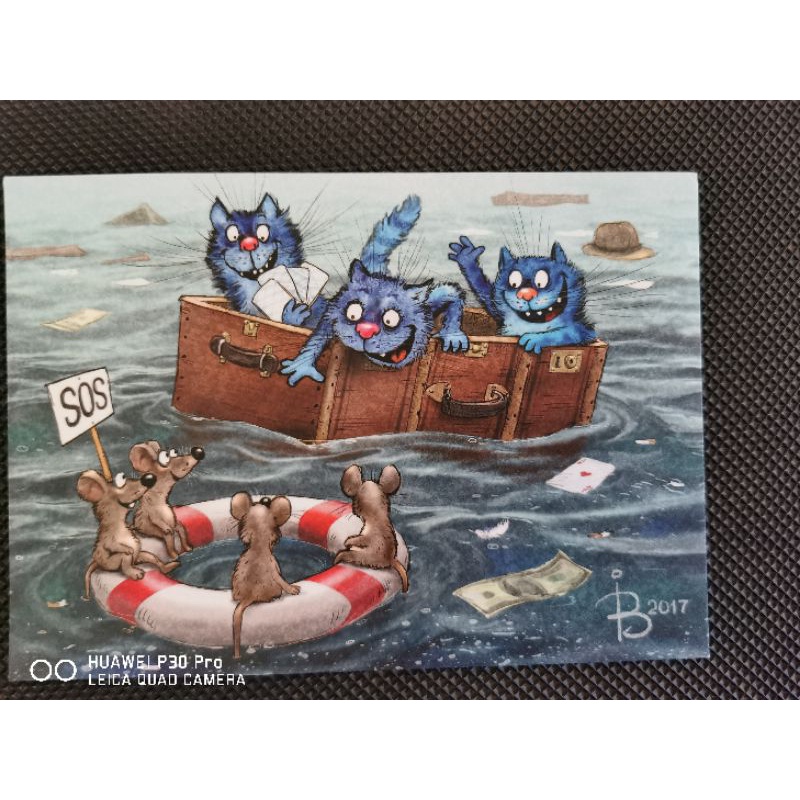 

kartu pos bluecat/bluecat postcard
