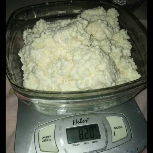 

Bibit kefir kualitas super harga murah