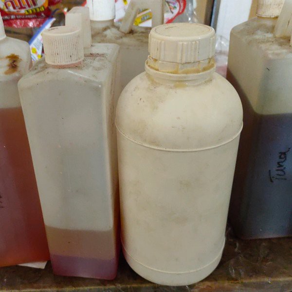 esen pemikat ikan lele esen oplosan lele khusus umpan olahan ayam dan daging