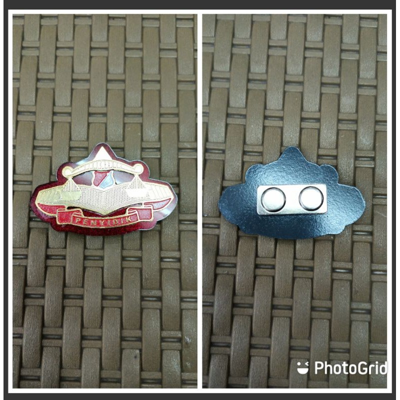 PIN PENYIDIK PIN PPNS