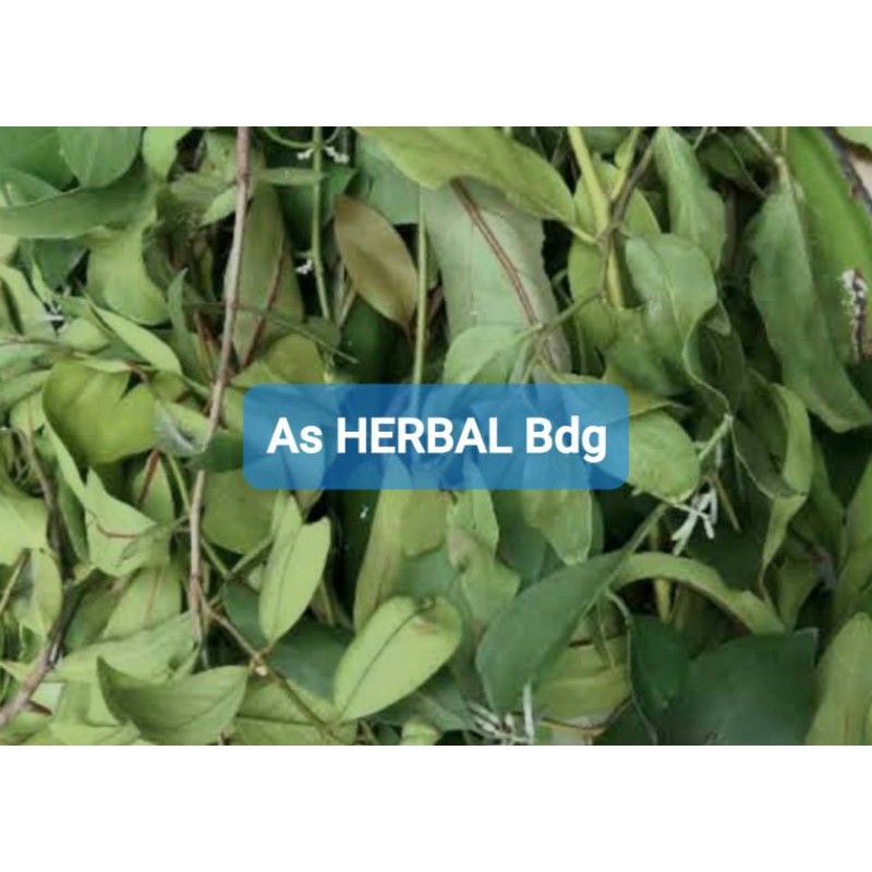 

Paket hemat 250 gram benalu jeruk nipis segar-az