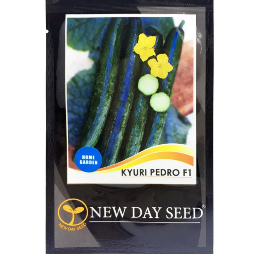 Benih Timun Kyuri Pedro F1 New Day Seed Isi 30 Seed