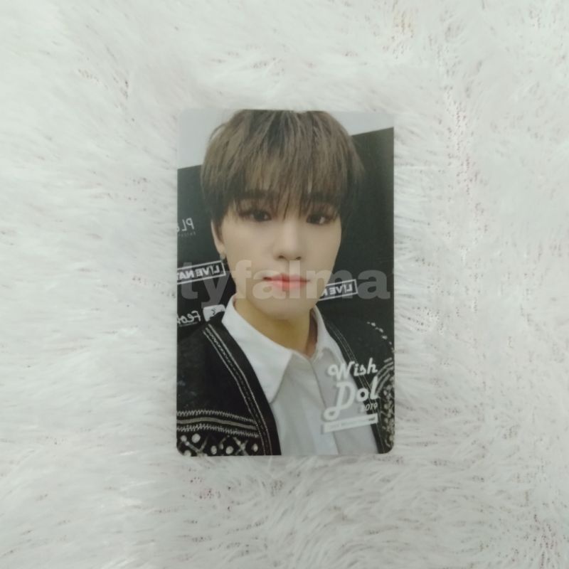 Dino Seventeen Wishdol Photocard