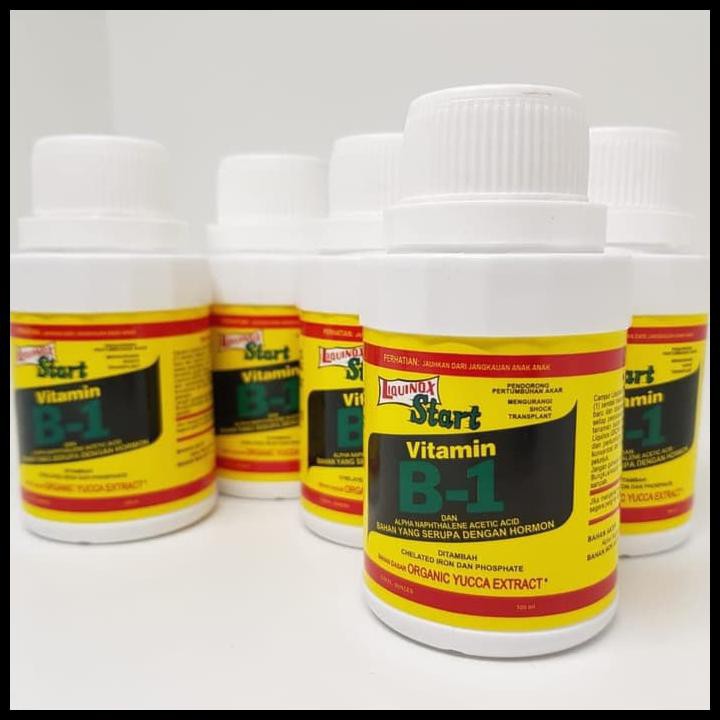 Vitamin B1 Asli.Tanaman Anti Stress Baik Untuk Akar Tanaman Tidak Layu