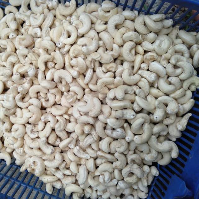 

Kacang mete mentah asli Wonogiri