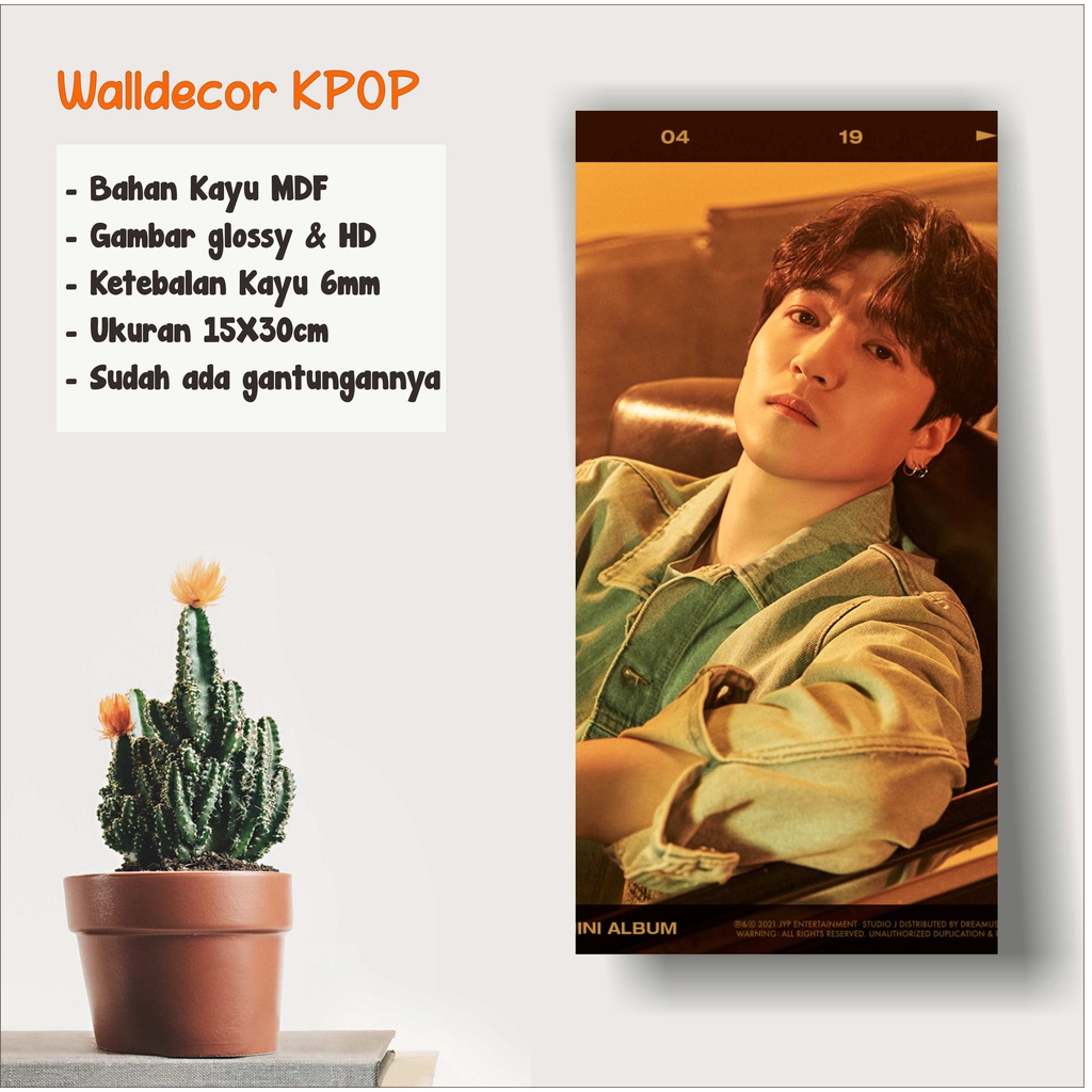 WALLDECOR DAY6 SUNGJIN UKURAN 15X30 CM WALL DECOR POSTER KAYU HIASAN DINGDING KPOP KOREA GLOSSY