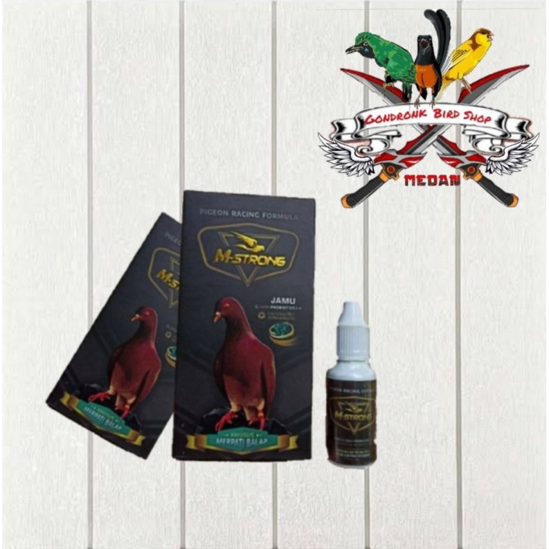 M strong Ebod jaya Khusus Merpati