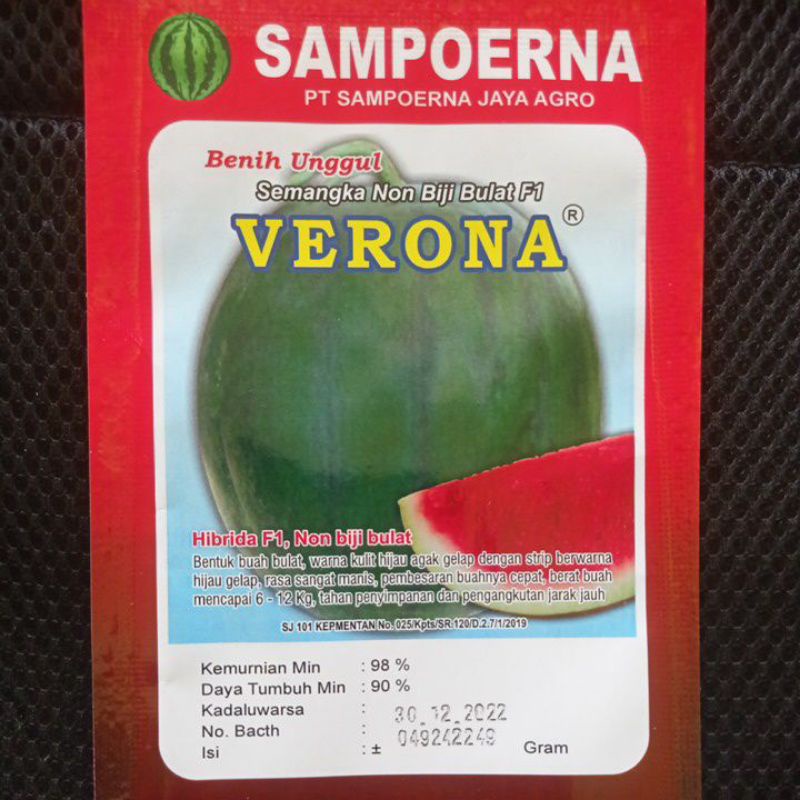 Benih semangka non biji bulat