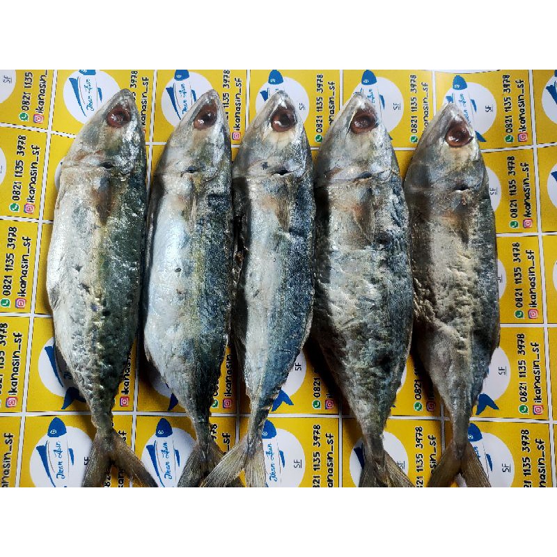 

Ikan asin peda