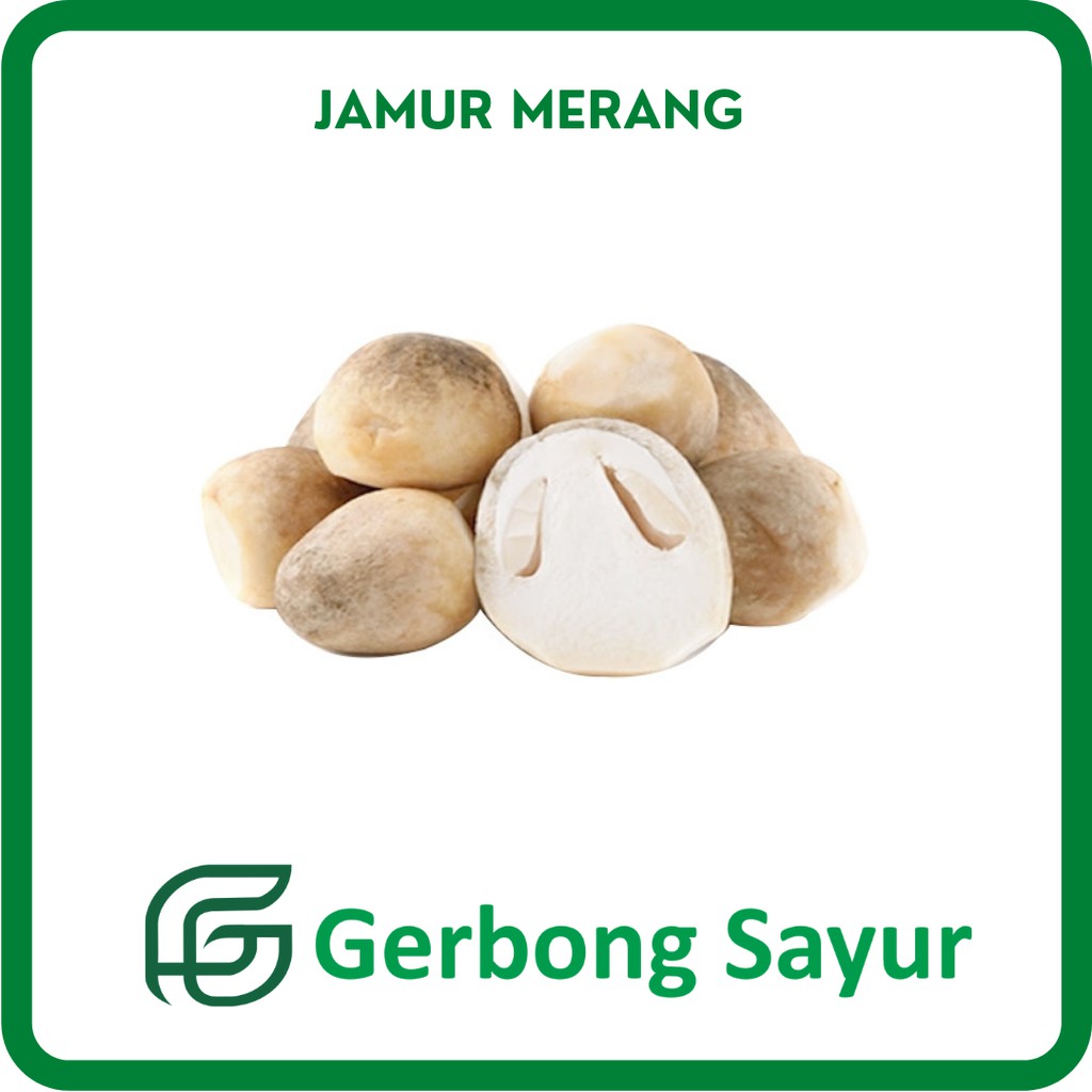 

Jamur Merang Segar - 250g