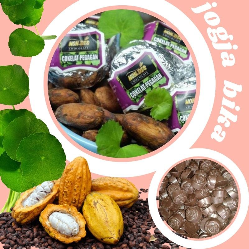 

Makanan Cokelat Cemilan Coklat Compound Pegagan Centella Asiatica Vitamin Otak Anak Cerdas 9 x 8 g