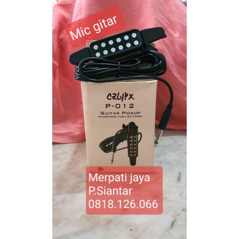 Mic Gitar