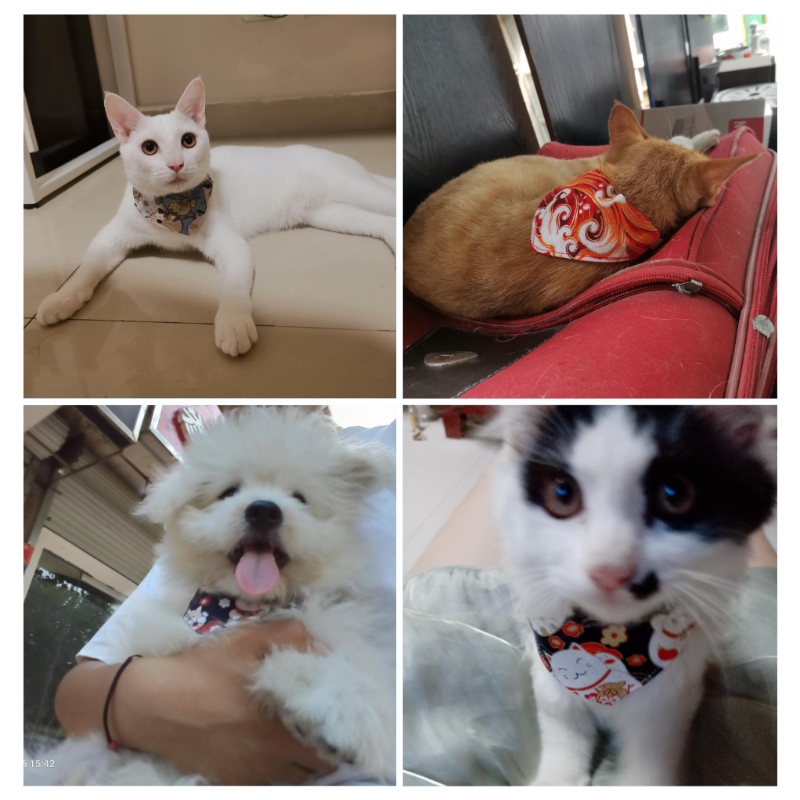 ★〓YUFeiPet〓★ Pet Triangle Towel Cat Print and Wind Collar Collar Dog Collar Webbing Saliva Towel Scarf Decorations Pet Supplies