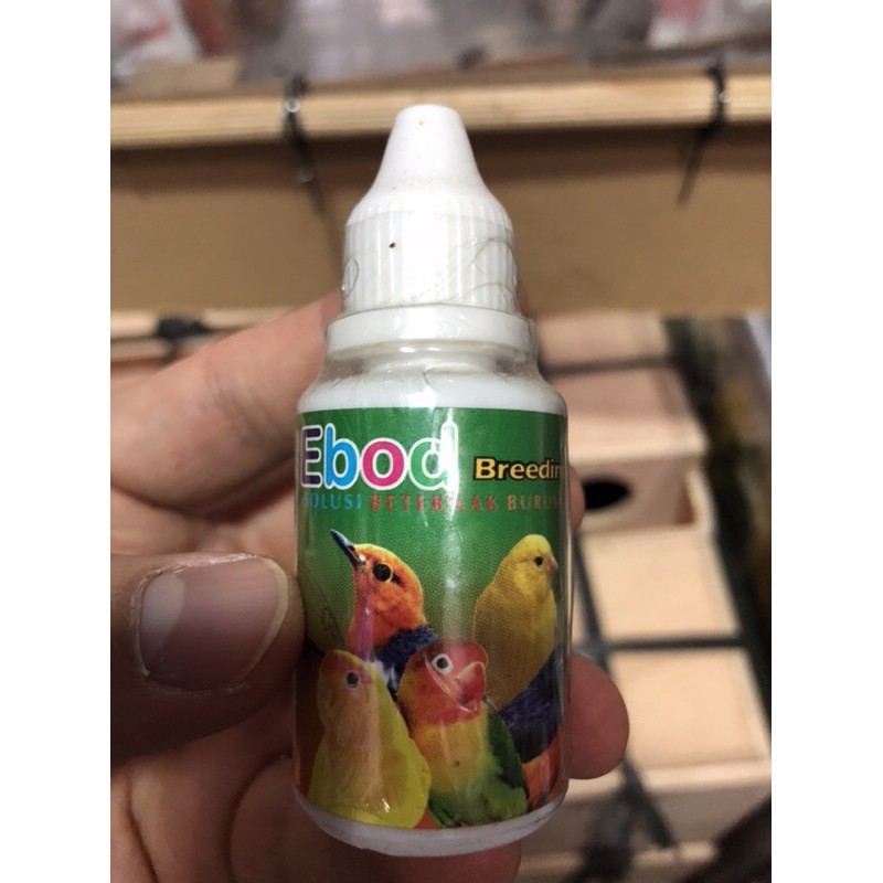 EBOD BREEDING EBOD JAYA vitamin burung