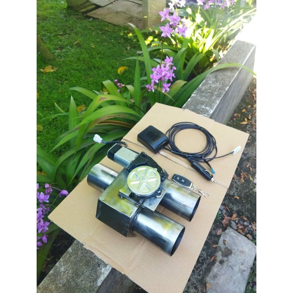 Valvetronic Exhaust 2 Katup ( Mode Remote )