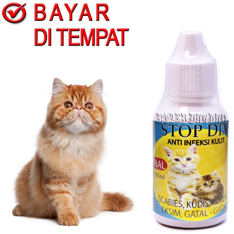 STOP DIX ORAL MINUM OBAT JAMUR KORENG KUCING SAKIT SCABIES BUDUK