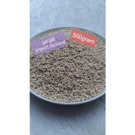 

Jali Jali Import Holland 500gram / Barley 500gram