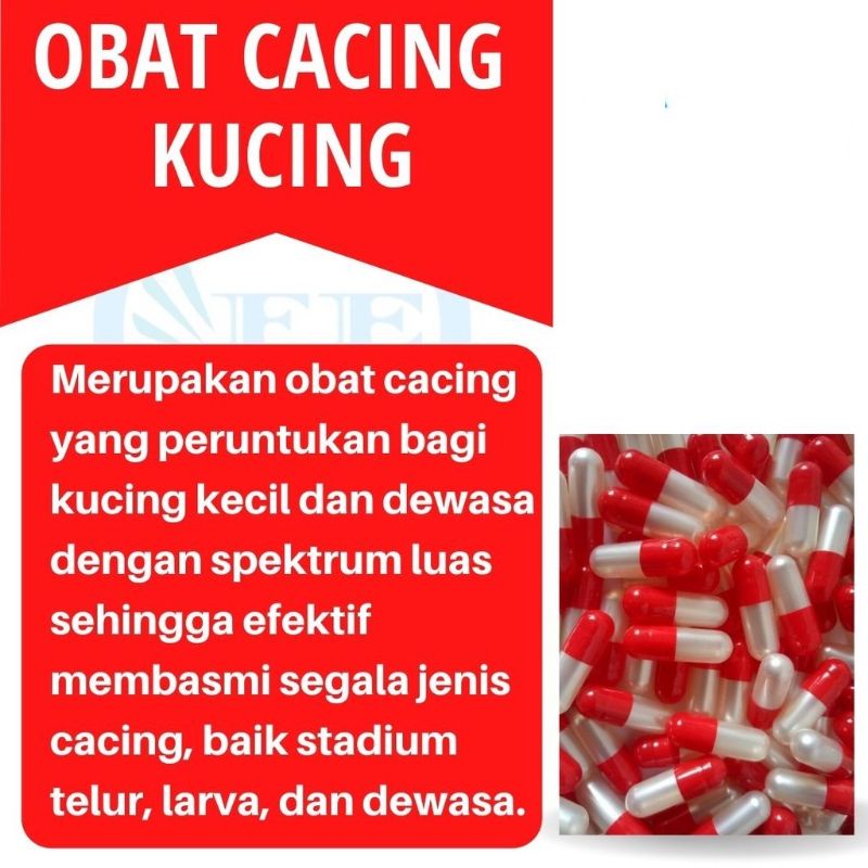 Obat Cacing penggemuk Badan Kucing per 1kapsul