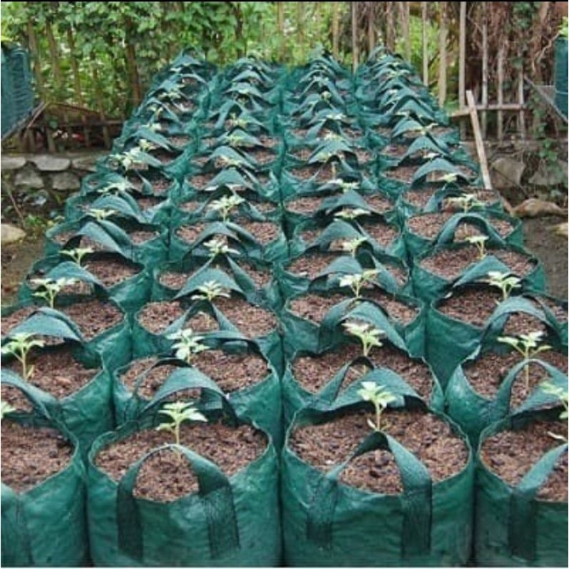 Planter Bag 150 Liter Easy Grow