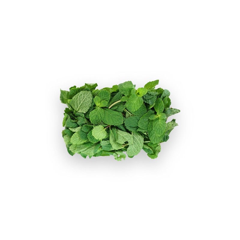 

SAYUR ORGANIK Daun Mint (Peppermint)