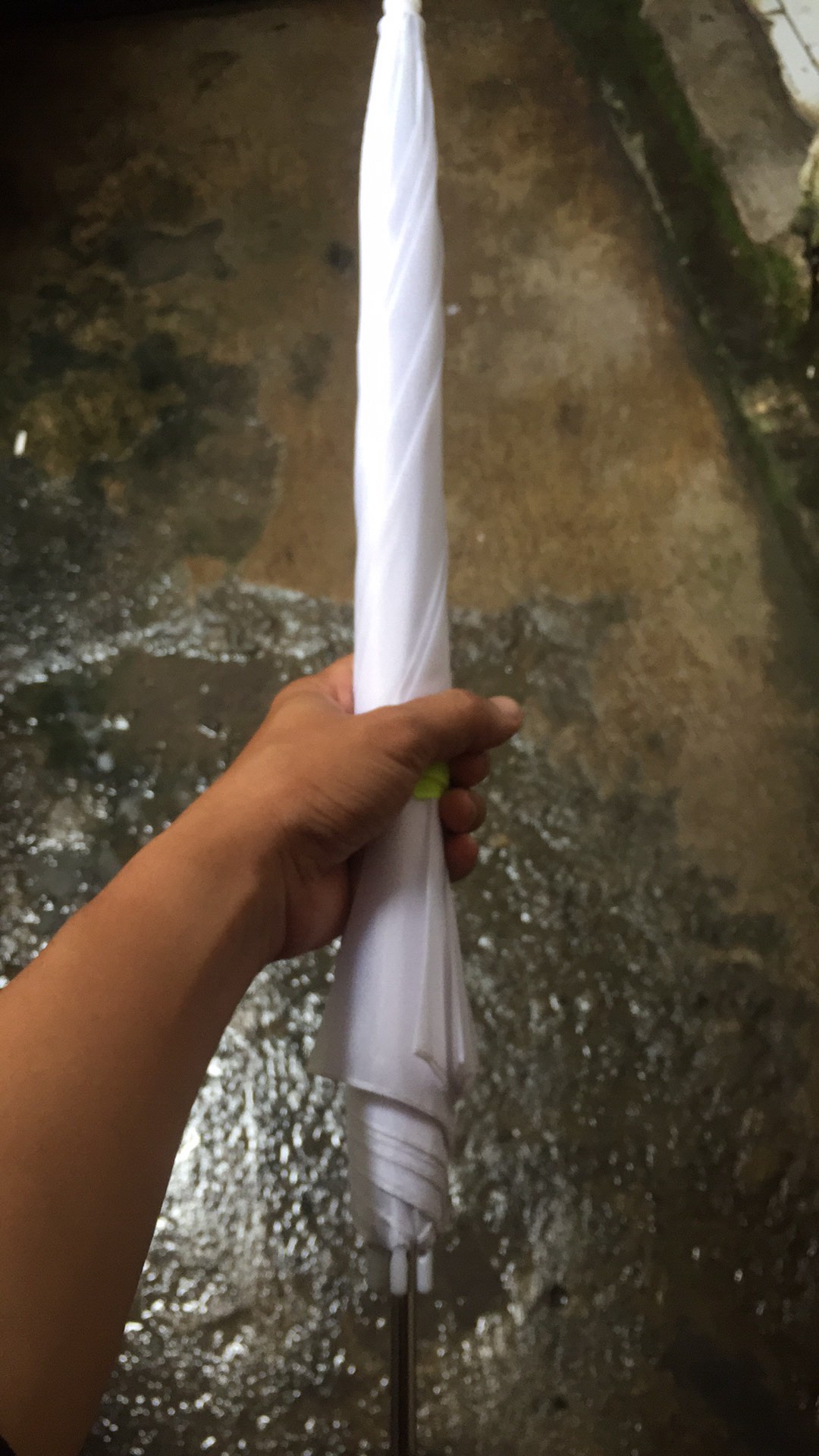 Payung Photo Studio Transparant 33 Ins / Payung Foto Transparan