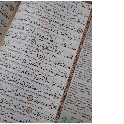 AL QURAN AL MISBAH A4 TERJEMAH DAN LATIN BESAR TERMURAH