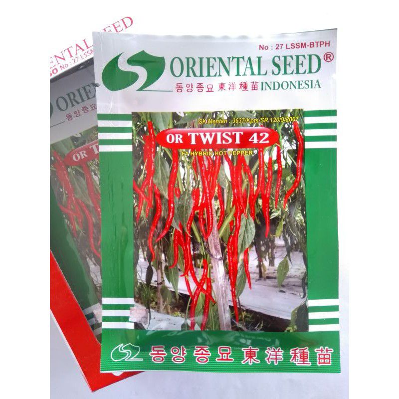 benih cabe OR TWIST 42