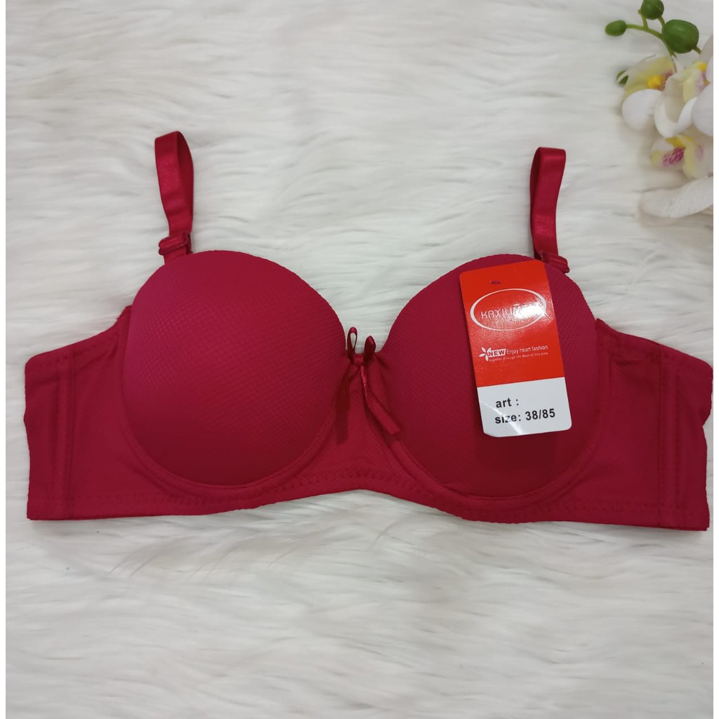 Bra BH Fashion Wanita Bra Cantik BH Kawat Busa Tipis /  ISABELLE 253-4