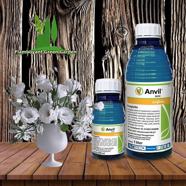 Fungisida Anvil 50 Sc Syngenta Untuk Membasmi Jamur Segala Tanaman 250ml Shopee Indonesia