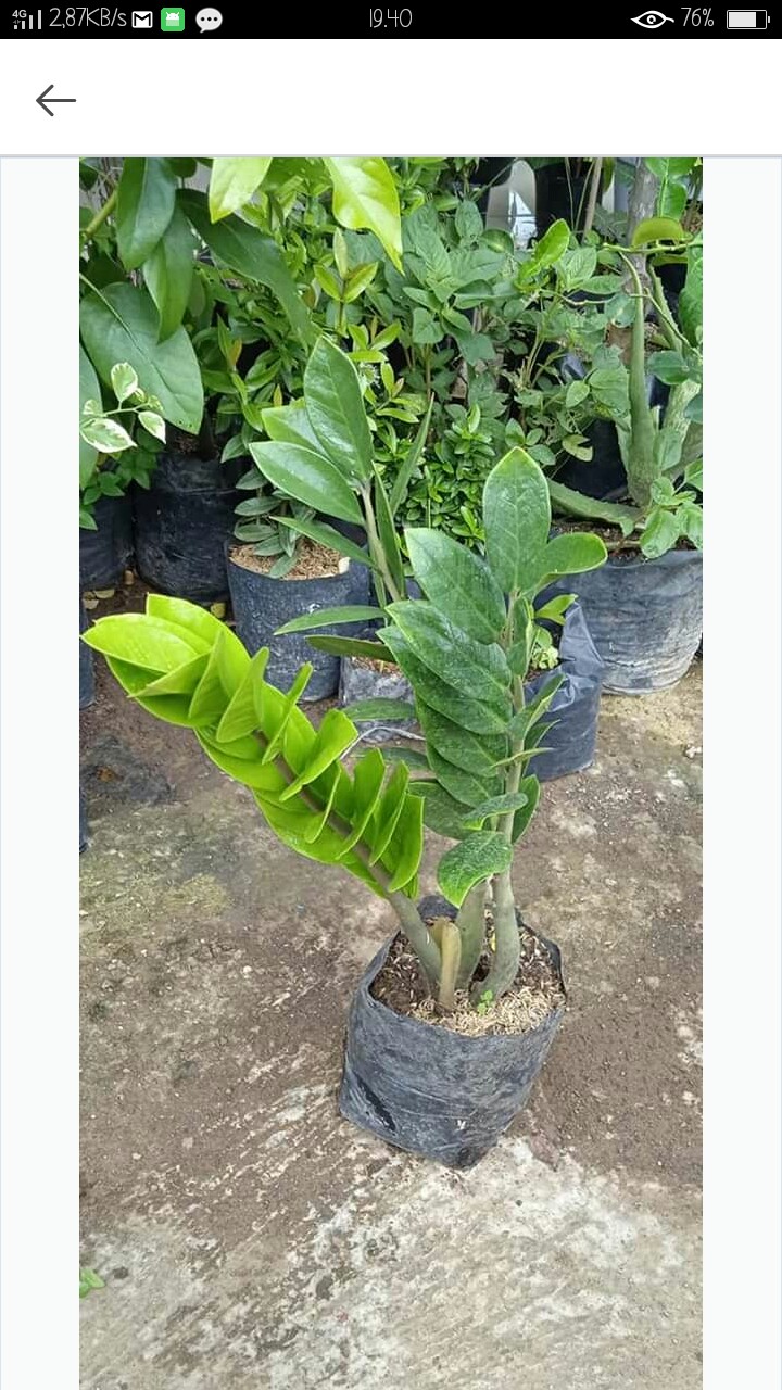 Hit Nonstop Reffil 33ml