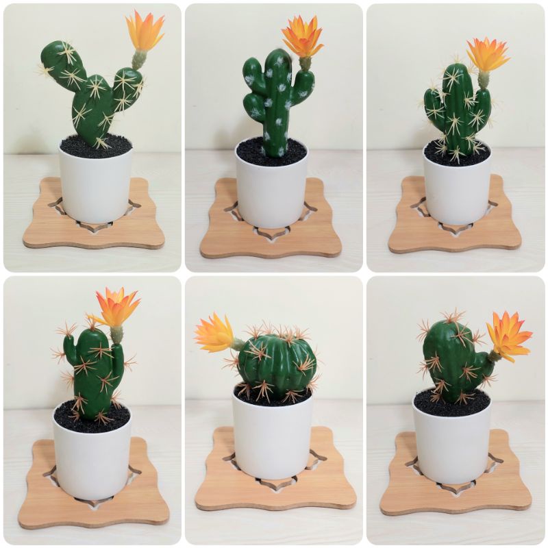 KAKTUS MINI Artificial / Kaktus Mini Palsu / Kaktus Plastik / Kaktus Imitasi