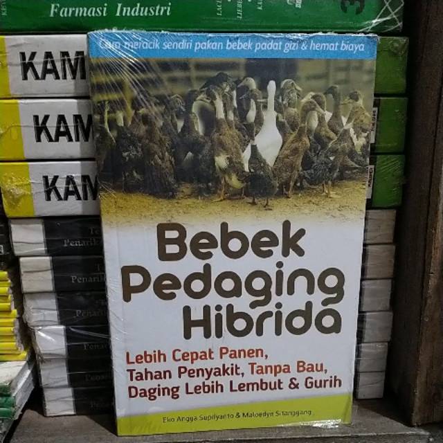 Buku original bebek pedaging hibrida