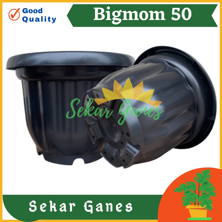 ONLY SAMEDAY AND INSTAN Pot BIGMOM 50 Hitam - Pot Besar Jumbo 50cm Pot Besar Plastik Bahan Tebal - Pot Besar Jumbo 100cm 50cm 40cm Putih Tinggi Hitam