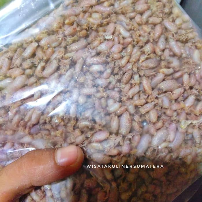 

Ikan Asin Cumi Baby Baby Cumi 500gram