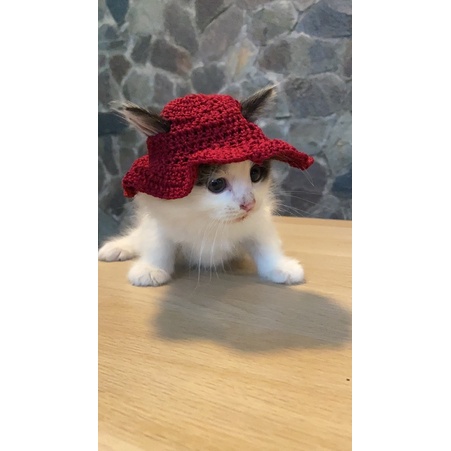 Topi Kucing Crochet