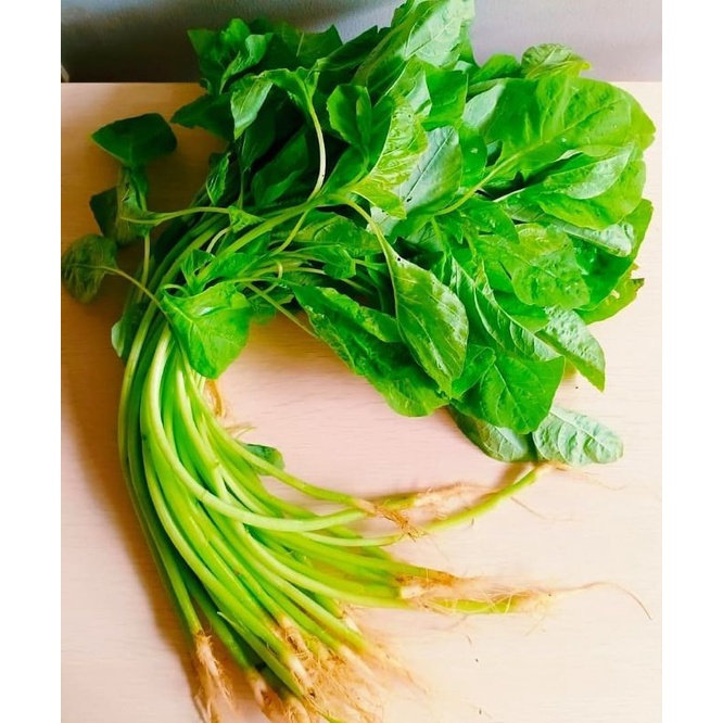 

Organik Premium Bayam Hijau / Spinach 3 pak