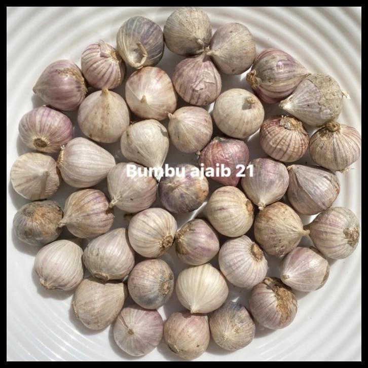 

TERBARUU!! Bawang Putih Tunggal/ Lanang 1 kg COD